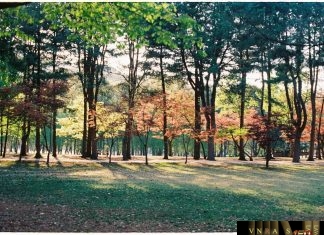 Danh mục GMP – PICS Đợt 1 đến đợt 57 Danh mục GMP - PICS Đợt 1 đến đợt 57