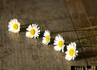 Đấu thầu tập trung