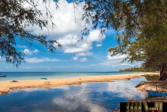 Công văn 11259/QLD-ĐK công bố danh mục NLLT phải có giấy phép NK