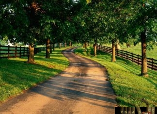 Công văn 11377/QLD-KD cung ứng thuốc Histamin 1mg/ml và glucagon(tiêm) Công văn 11377/QLD-KD cung ứng thuốc Histamin 1mg/ml và glucagon(tiêm)