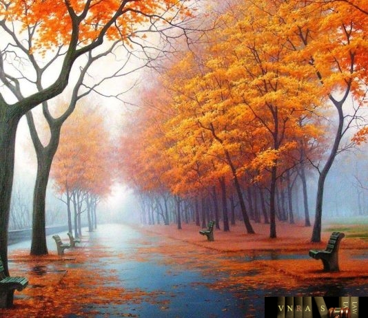 Công văn 11381/QLD-KD cung ứng thuốc Digoxin