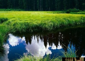 Quyết định 376/QĐ-QLD danh mục 10 thuốc nước ngoài được cấp số đăng ký lưu hành đợt 99 Công văn 376/QĐ-QLD danh mục 10 thuốc nước ngoài được cấp số đăng ký lưu hành đợt 99