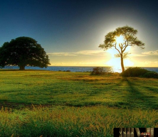 Dự thảo sửa đổi tư số 13/2016/TT-BNNPTNT