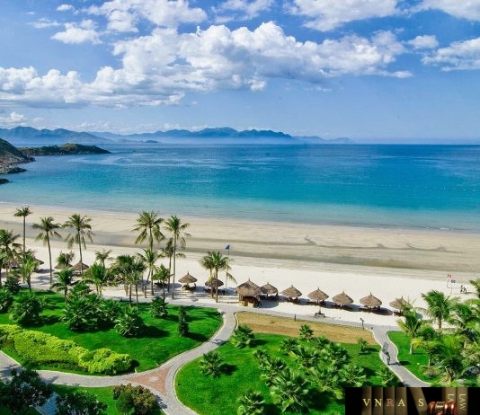 Công văn 11016/QLD-ĐK công bố danh mục NLLT không cần giấy phép nhập khẩu