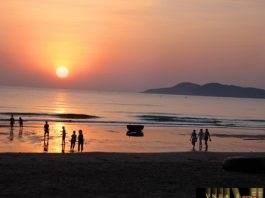 Công văn 11109/QLD-ĐK công bố danh mục NLLT phải có giấy phép NK