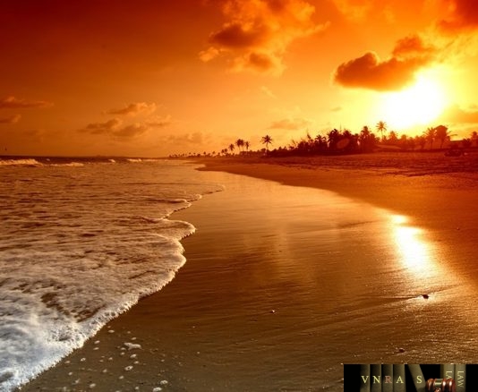 Công văn 11108/QLD-ĐK công bố danh mục NLLT không cần giấy phép nhập khẩu