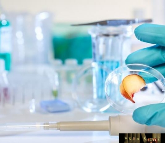 Công văn 10808/QLD-MP