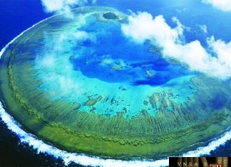 Công văn 11256/QLD-ĐK công bố danh mục NLLT không cần giấy phép nhập khẩu