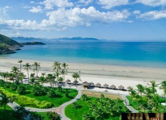 Công văn 12898/QLD-CL năm 2018