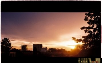 Thông báo 12115/TB-QLD thông báo tuyển dụng công chức năm 2018 Thông báo 12115/TB-QLD thông báo tuyển dụng công chức năm 2018