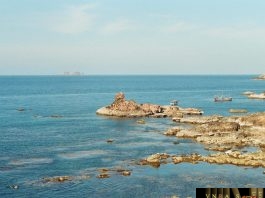 Công văn 11931/QLD-TTRA tăng cường công tác thanh tra chống gian lận thương mại