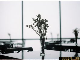 Công văn 11729 QLD/ĐK công bố danh mục NLLT không cần giấy phép nhập khẩu