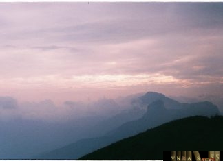 Công văn 11726 QLD/ĐK công bố danh mục NLLT không cần giấy phép nhập khẩu