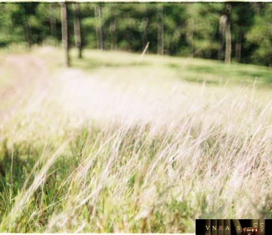 Công điện 614/CĐ-BYT triển khai công tác y tế ứng phó mùa mưa lũ Công điện 614/CĐ-BYT triển khai công tác y tế ứng phó mùa mưa lũ