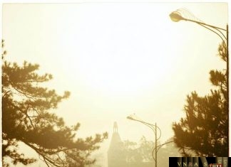 Công văn 12085 QLD/ĐK công bố danh mục NLLT không cần giấy phép nhập khẩu