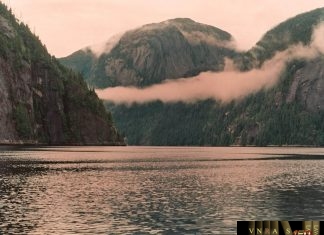 Công văn 12163/QLD-ĐK đính chính quyết định cấp SĐK thuốc nước ngoài Công văn 12163/QLD-ĐK đính chính quyết định cấp SĐK thuốc nước ngoài