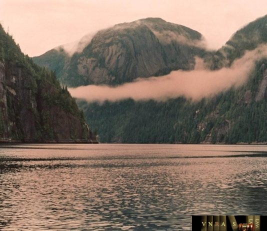 Công văn 12163/QLD-ĐK đính chính quyết định cấp SĐK thuốc nước ngoài