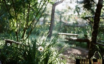 Công văn 12946/QLD-KD phát triển sản xuất thúc đẩy xuất khẩu thuốc và nguyên liệu làm thuốc