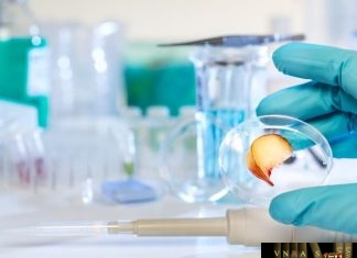 Công văn 13697/QLD-CL công bố cơ sở sản xuất thuốc đạt tiêu chuẩn PIC/S-GMP và EU- GMP (Đợt 58) GMP ĐỢT 58