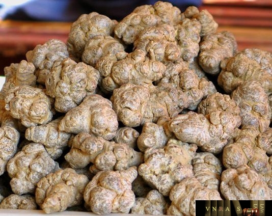 Công văn 14424/QLD-CL năm 2018