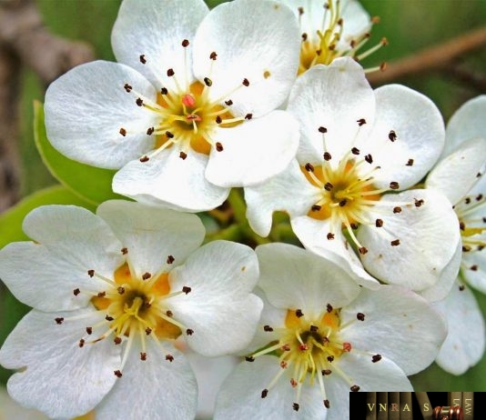 Công văn 14545/QLD-CL năm 2018