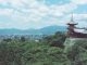 Công văn 14245/QLD-ĐK thực hiện công văn về ĐK nhập khẩu đơn hàng thuốc