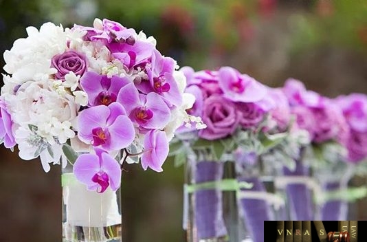 Công văn 4811/BYT-KH-TC năm 2018