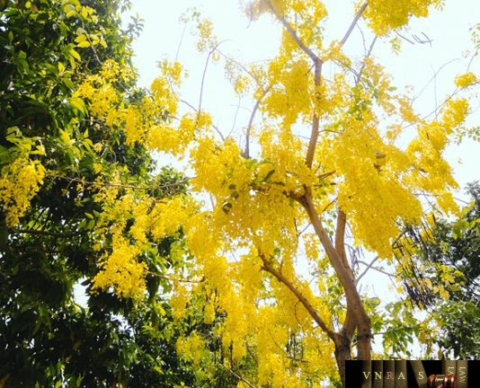 Công văn 496/CNTT-KHTC năm 2018