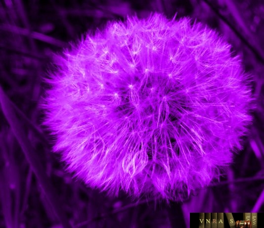 Chỉ thị 847/CT-BYT giải pháp đảm bảo và nâng cao chất lượng dịch vụ khi điều chỉnh giá dịch vụ KB, CB Chỉ thị 847/CT-BYT