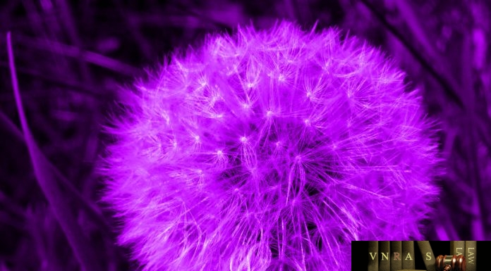 Chỉ thị 847/CT-BYT giải pháp đảm bảo và nâng cao chất lượng dịch vụ khi điều chỉnh giá dịch vụ KB, CB Chỉ thị 847/CT-BYT