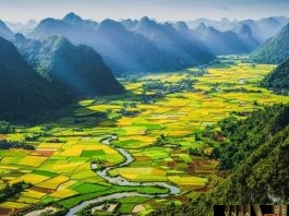 Công văn 16900/QLD-ĐK năm 2018