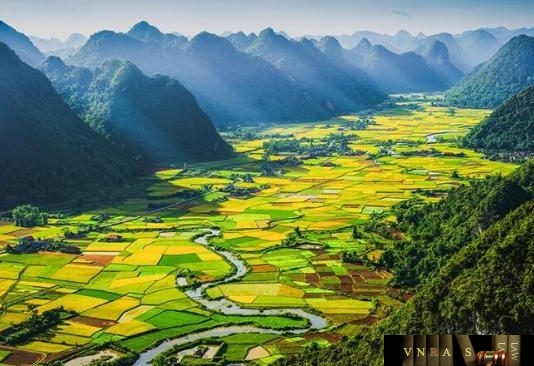 Công văn 16900/QLD-ĐK năm 2018