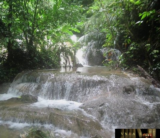 Công văn 17220/QLD-CL