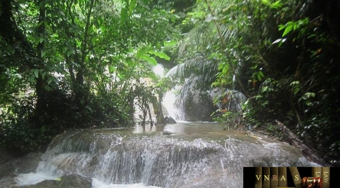 Công văn 17220/QLD-CL