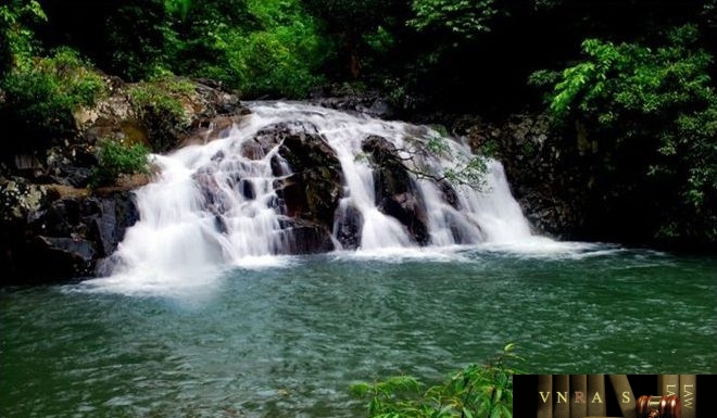Công văn 17253/QLD-MP