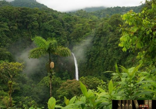 Công văn 17724/QLD-ĐK năm 2018