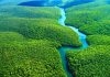 Công văn 18109/QLD-ĐK năm 2018