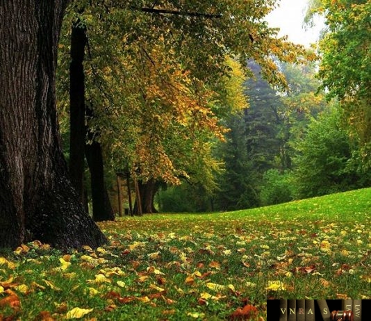 Công văn 18130/QLD-ĐK năm 2018