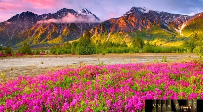 Công văn 18218/QLD-VP