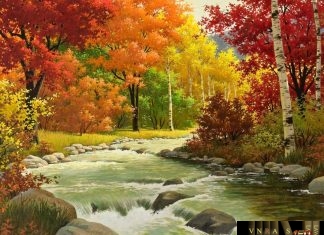 Công văn 18403/QLD-KD ĐBCƯ vắc xin phòng bệnh KH DPT-HepB-Hib Công văn 18403/QLD-KD