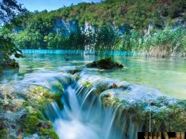 Quyết định 5694/QĐ-BYT