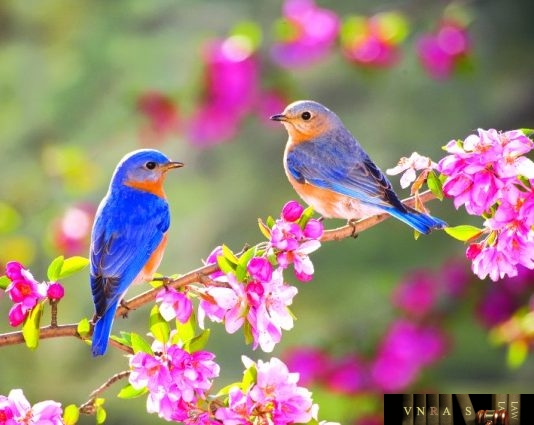 Thông tư 27/2018/TT-BYT