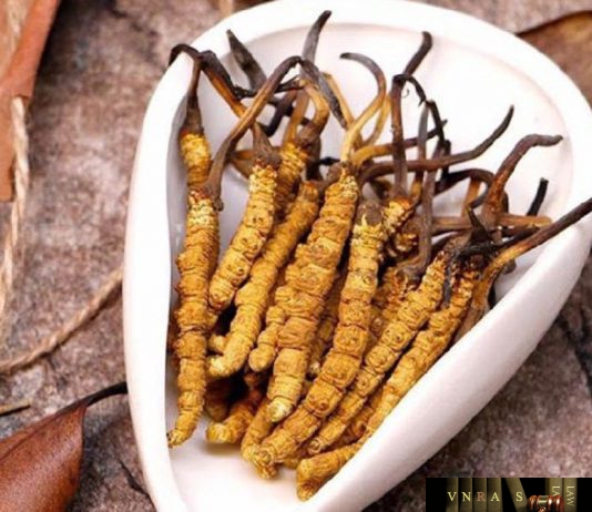 Đông trùng hạ thảo