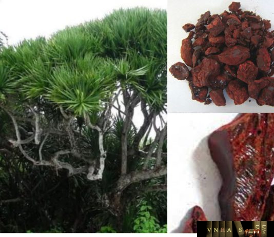 Huyết Kiệt