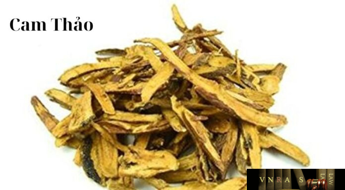 Cây Cam Thảo – Những cây thuốc và vị thuốc Việt Nam – Đỗ Tất Lợi Cam Thảo