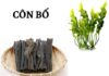 Côn Bố