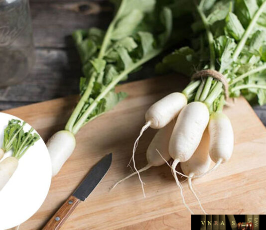 Củ Cải