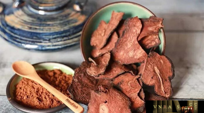 Hà Thủ Ô ĐỏHà Thủ Ô Đỏ