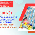 Quyết định số 1121/QĐ-TTg của Thủ tướng Chính phủ: Phê duyệt Chiến lược quốc gia về phòng, chống kháng thuốc tại Việt Nam giai đoạn 2023 - 2030, tầm nhìn đến năm 2045