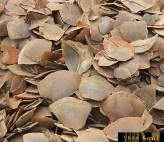 Xuyên Sơn Giáp